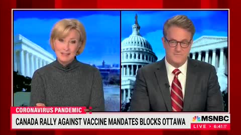 NOW - MSNBC host says Canada's trucker convoy is a "cult."