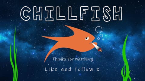 ChillFish - 90's Electronica Classics and More!