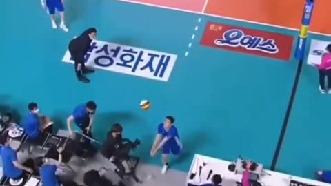 Wonderful Volleyball