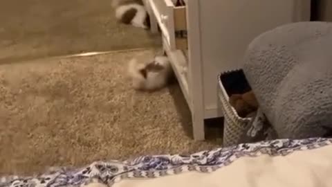 How perfect is this sound 😝