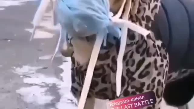 V203. The Covid Chaos 🎵 | WHAT THEY DID TO US 😷