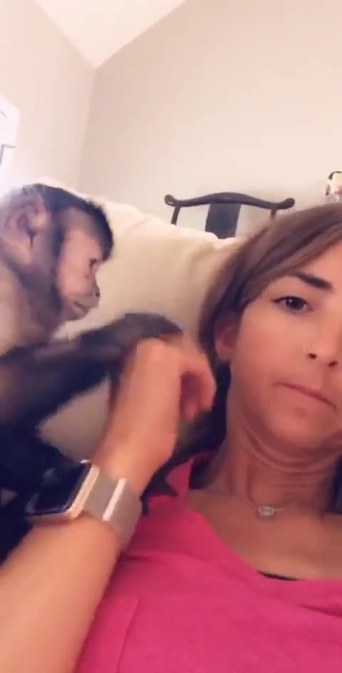 I never thought animals really observe us well even about what we wear♥️😭