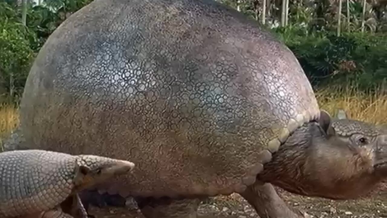 Things found underground 😳😱