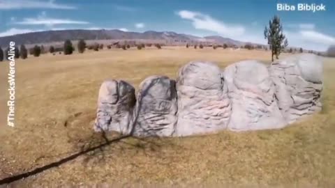 Gigantic petrified hands and feet found