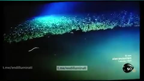 The Firmament Under The Ocean