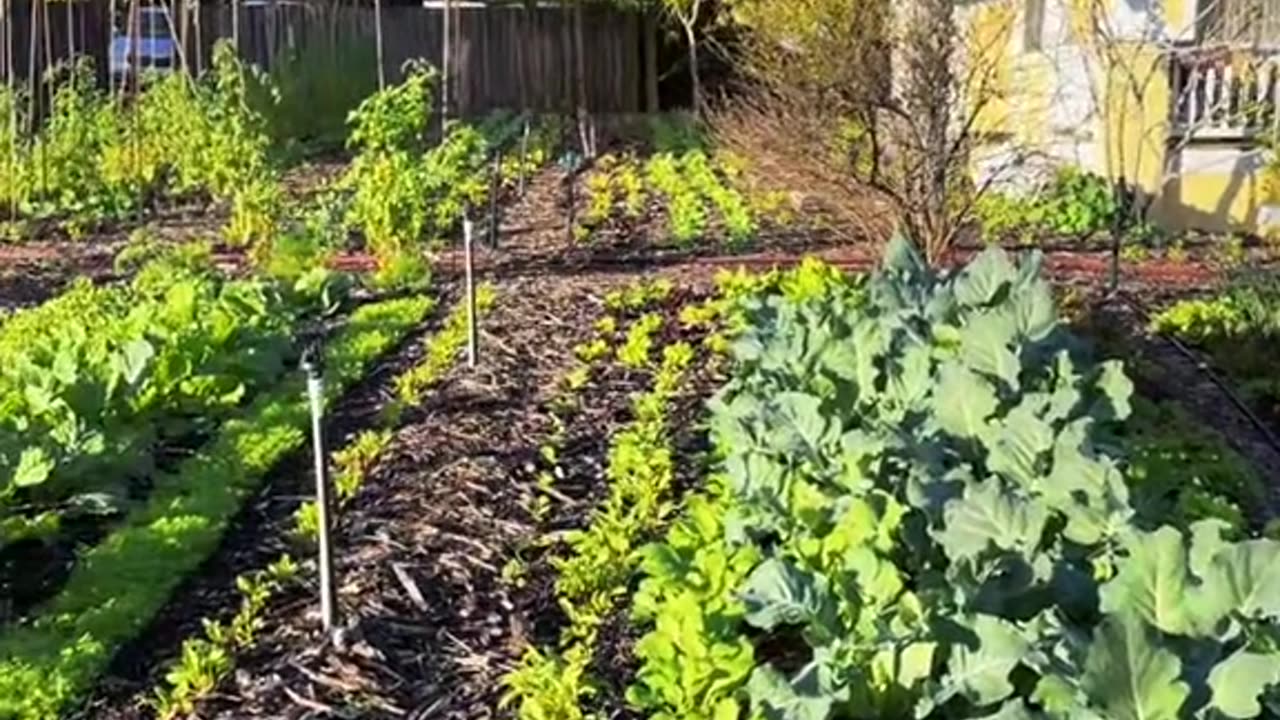 Home Market Farmer