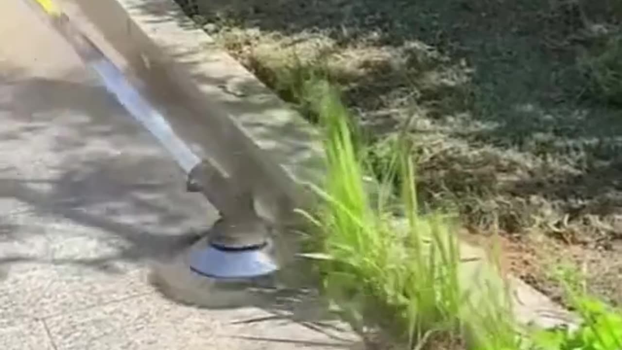 CRC vídeos curiosos