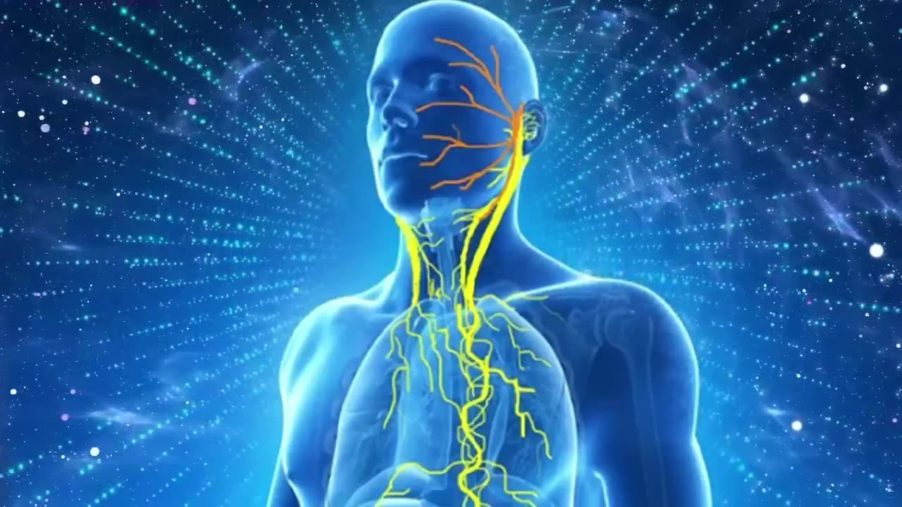 Vagus Nerve Reset To Release Trauma Stored In The Body | Parasympathetic Nervous system Stimulation