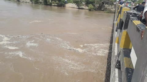 River of satluj Flood many people every think loss