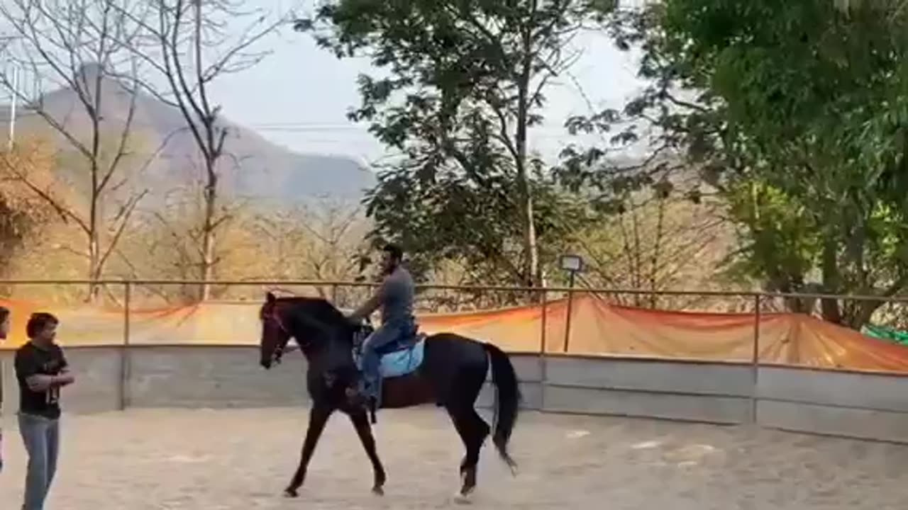 Being taken for a ride