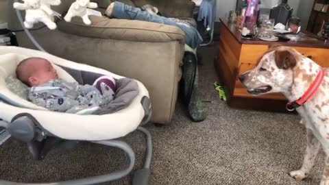 Puppy has adorable first encounter with a baby