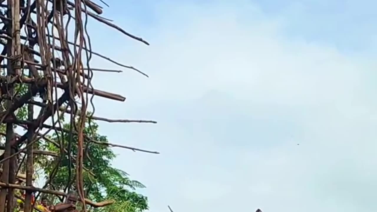 African Bungee Jumping Over Land