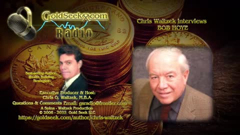 GoldSeek Radio Nugget - Bob Hoye: central bankers weary of market volatility.