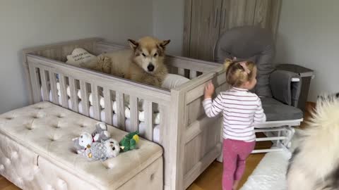 Adorable Baby Girls Puts Her Dog To Bed Even Reads Him A Story!