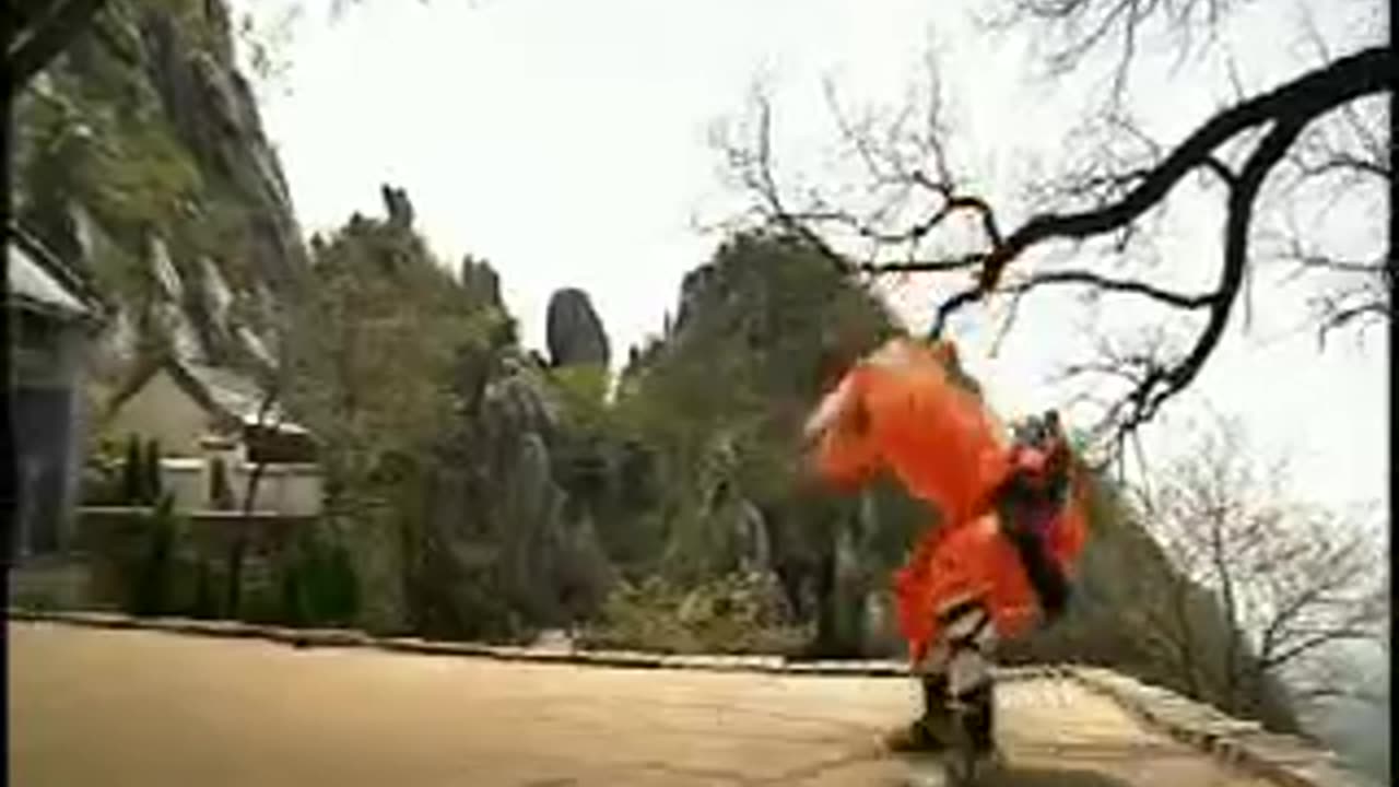 Amazing Shaolin monks