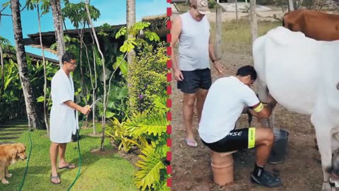 Jojo Todynho, Alex Escobar e mais! Copa do Catar é na 'Central da Copa' ✨ | Copa do Mundo 2022