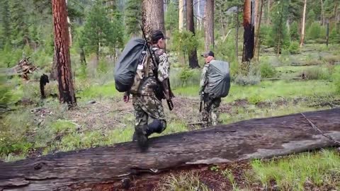 Submission #4 - 2020 Idaho DIY Spring Bear / Wolf