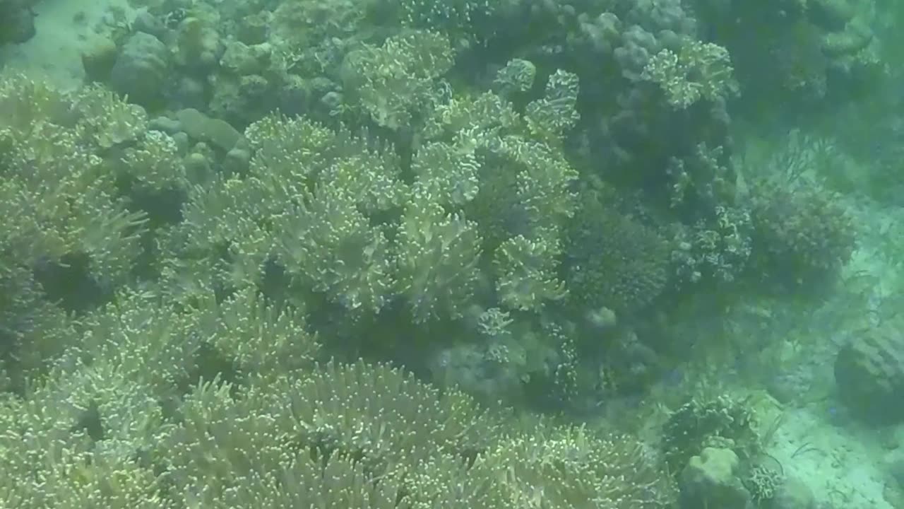 Perfect Day for a Snorkeling Adventure!