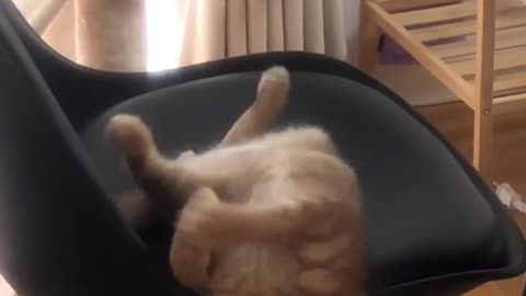 いつも家のことをしている間は待たせてしまうので、この後はたくさん遊びました