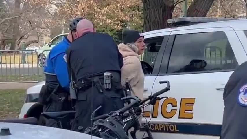 Ashli Babbit's Mom Gets Arrested While Protesting Outside The Capitol Building