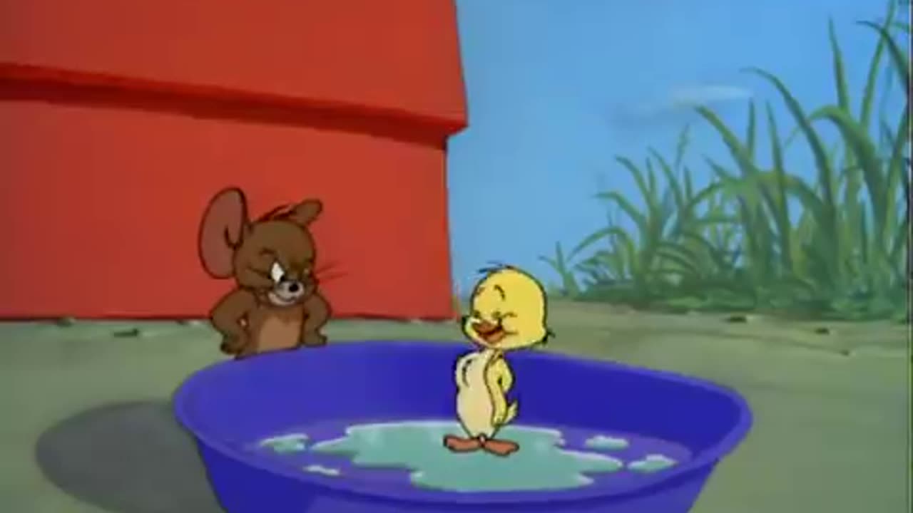 Tom and Jerry (just ducky) funny video