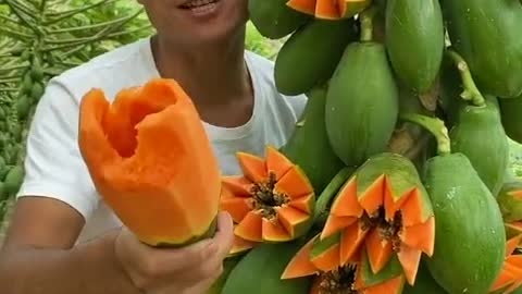 Vegetable and fruits