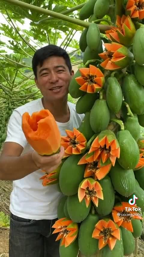 Vegetable and fruits