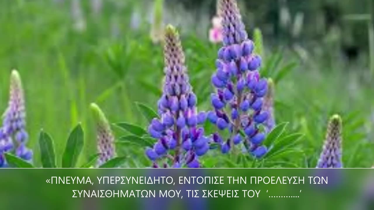 ΠΡΟΣΕΥΧΗ HOO'PONOPONO