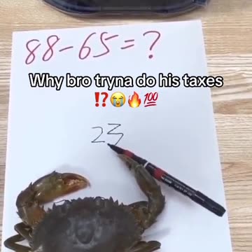 "From Pennies to Prosperity: Unveiling Mr. Krabs' Secrets to Conquering Bill Payments!"