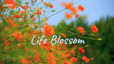 Life Blossom - Emotional Inspiring Music