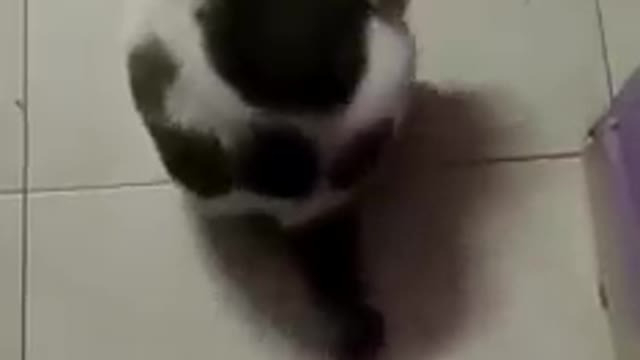 BRO~ You should be on a DIET