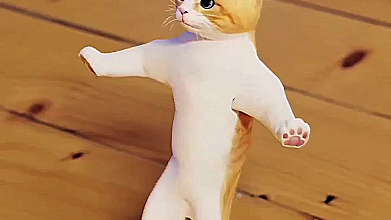Ai dancing cat...follow for more content>>#funnyreels#aidancingcat#rumble