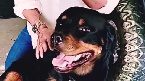 Wow Rambo with a cute dog 🐕