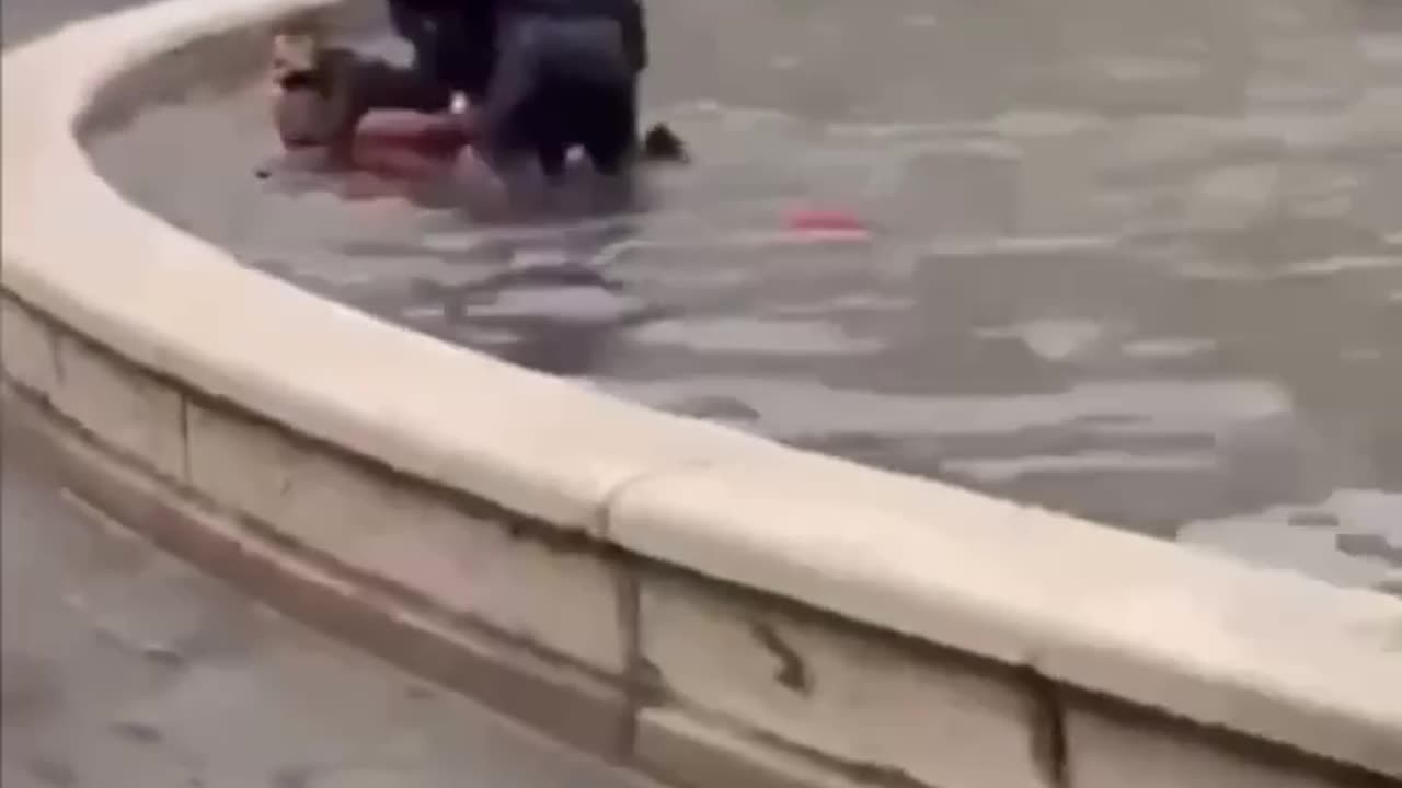 something naked jumps in a fountain