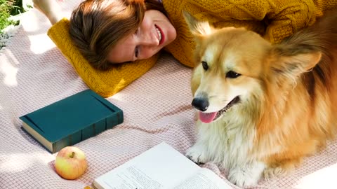 Woman with corgi dog on a picnic day Video