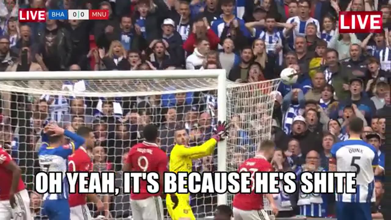 Manchester United vs Brighton Match Highlights