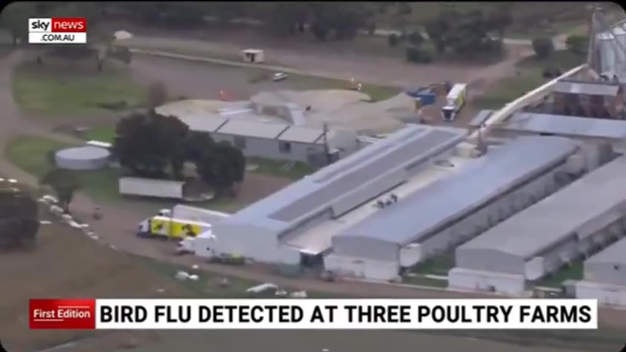 OUTBREAK OF BIRD FLU HYSTERIA IN AUSTRALIA.mp4