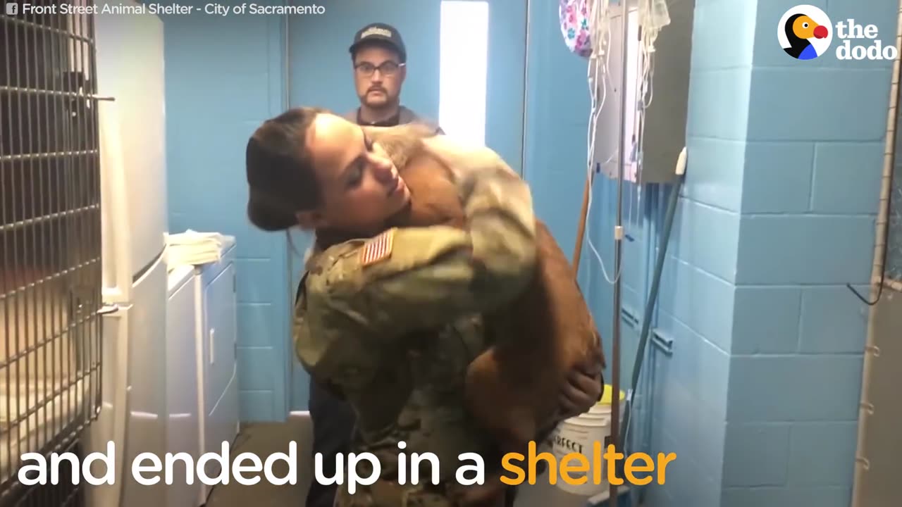 Dog Who Got Lost And Ended Up In Shelter Reunites With Family | The Dodo