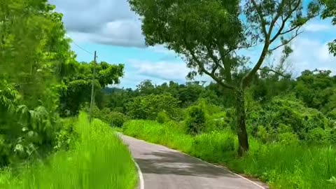 Streets natural View Bangladesh