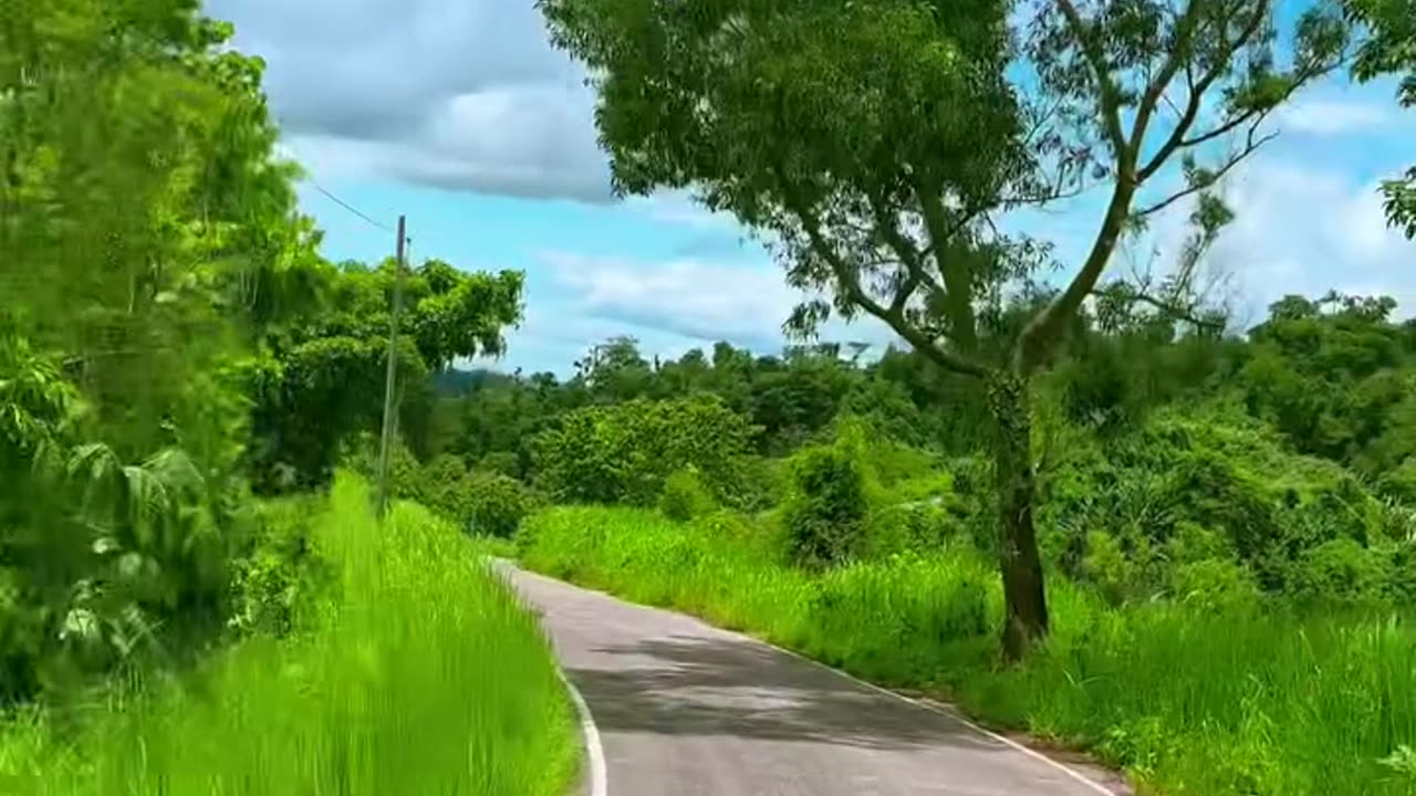 Streets natural View Bangladesh