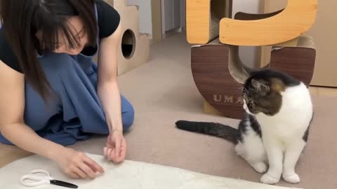 When the kitten wants to sleep, I go to give her a massage