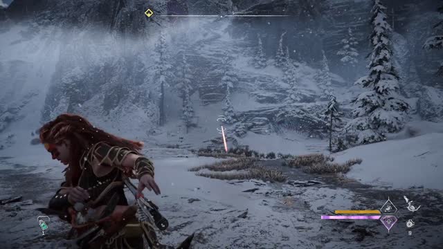Horizon Forbidden West sgrl100