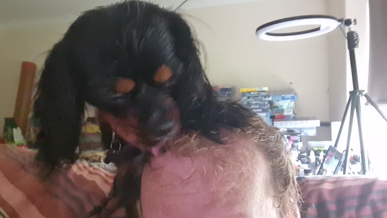 Winstons Free Grooming Services.