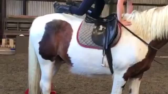 Boy Performs Various Exercises On Horse's Back Inside a Stable