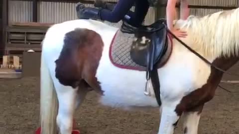 Boy Performs Various Exercises On Horse's Back Inside a Stable