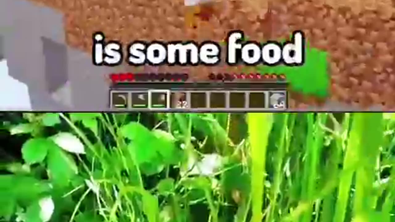 Food Hunter