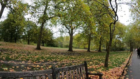 Walking near ST James park. Speedlapse London..8th Nov 2022