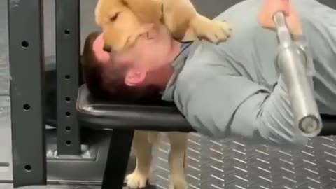 kissing dog