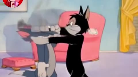 Tom and Jerry in real :)))))