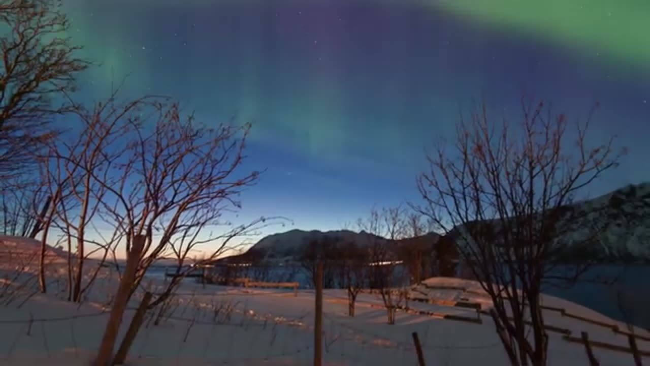 Aurora Borealis(1)